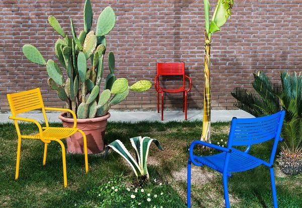 Cactus, Furniture, Yard, Backyard, Garden, Chair, Majorelle blue, Table, Plant, Botany, 