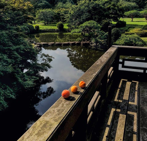 TOKIO JAPANOp een railing van een paviljoen van het nationale park Shinjuku Gyoenin Tokio ligt een offer van juniabrikozen