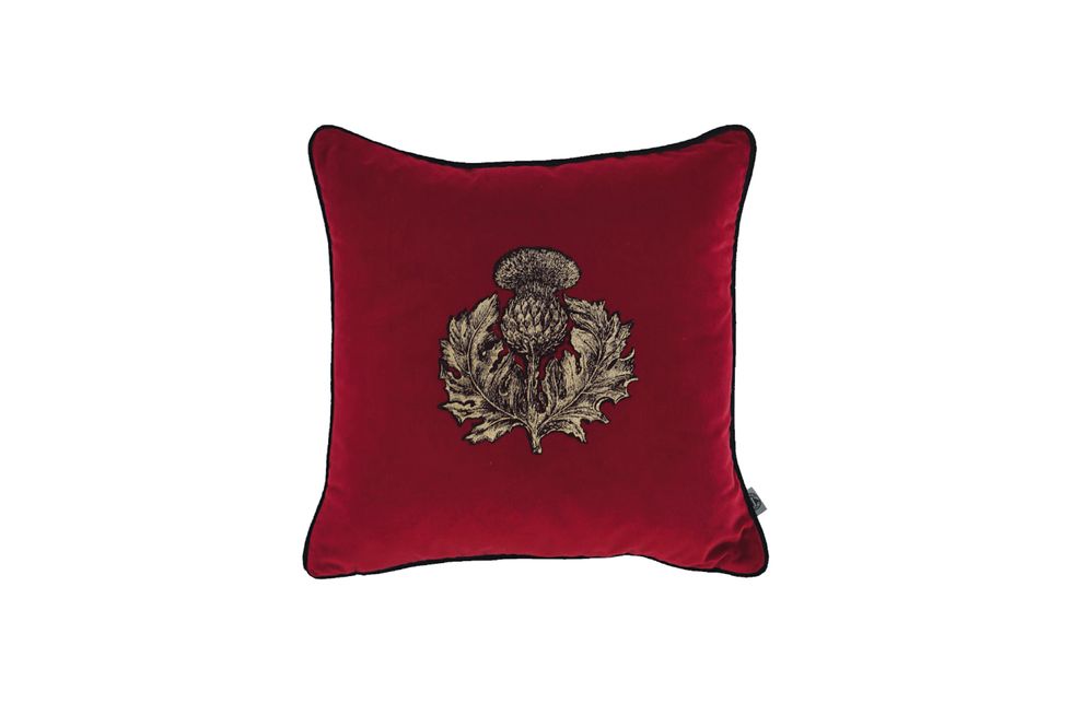 Red, Cushion, Pillow, Throw pillow, Maroon, Furniture, Textile, Linens, Fictional character, Rectangle, 