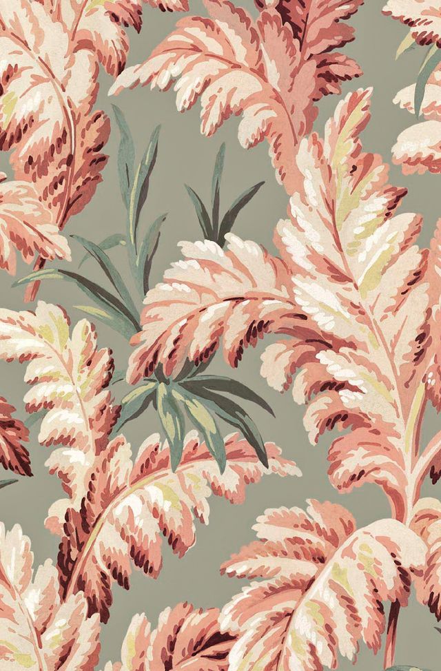 Leaf, Plant, Pattern, Botany, Pink, Flower, Design, Wallpaper, Grass, Tree, 