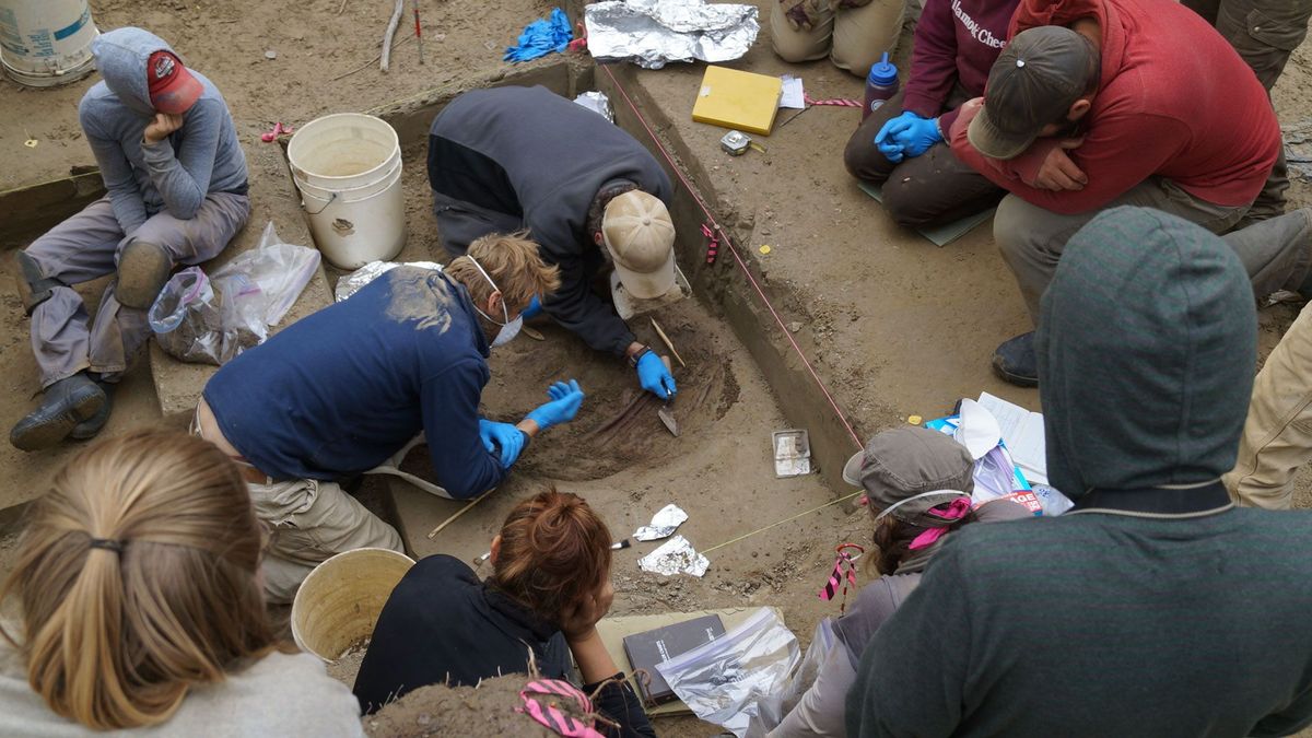 De stoffelijke resten van een baby die in een 11500 jaar oud indianenkamp in centraalAlaska werden gevonden wijzen op een genetisch verschillende en tot nu toe onbekende inheemse populatie van Amerika