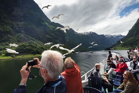Toeristen spotten vogels bij een fjord in Noorwegen