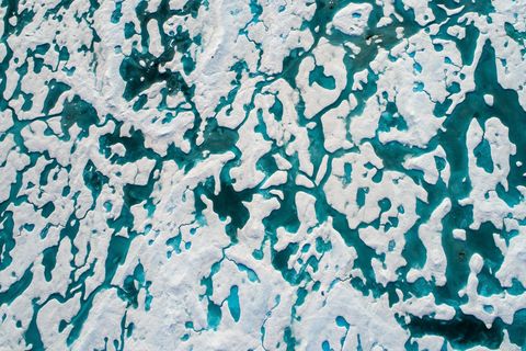 IJsberen jagen in de zomer vaak tussen de ijsschotsen op zeehonden en andere wilde dieren in Nunavut in Canada Deze luchtfoto is een natuurlijk zoekplaatje waarop een ijsbeer te vinden is