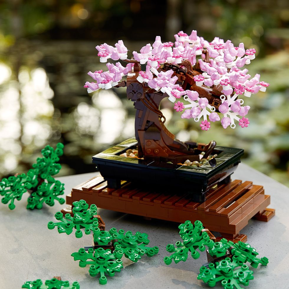 I fiori e il bonsai della collezione per adulti LEGO Botanical