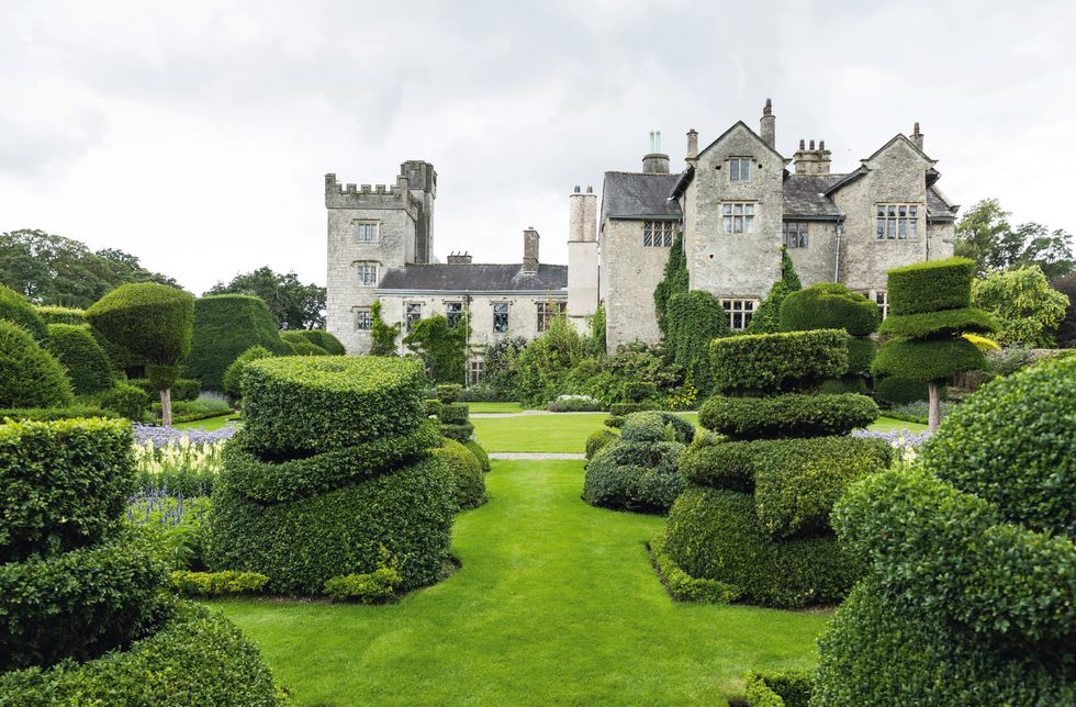 Green, Garden, Castle, Grass, Estate, Building, Château, Shrub, Lawn, House, 