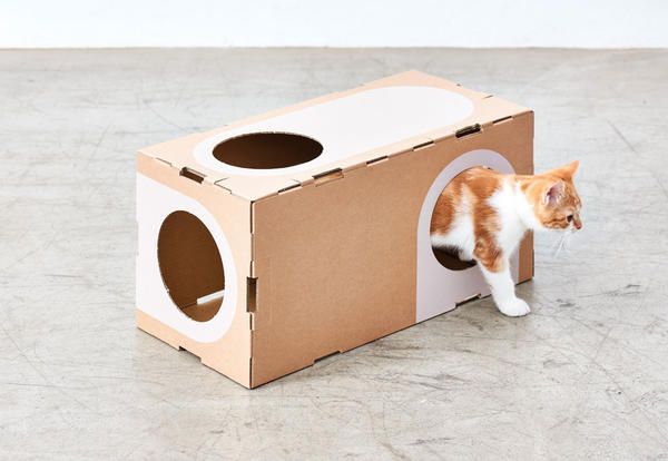 Cat, Cat furniture, Small to medium-sized cats, Felidae, Cardboard, Litter box, Cat bed, Box, Kitten, Kennel, 