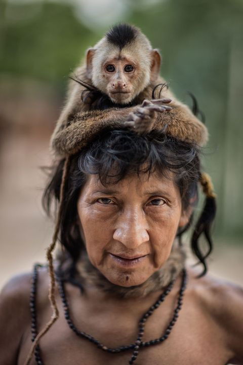 Ximirapi kreeg geen kinderen en heeft altijd haar aapje bij zich Tiracambu Awgemeenschap Maranho Brazili