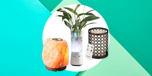 Flowerpot, Houseplant, Cylinder, Tree, Plant, Table, Highball glass, Palm tree, Illustration, 