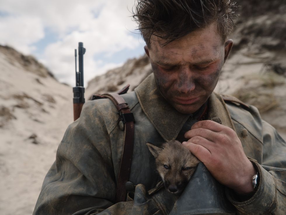 年度最感人的二戰電影《戰火下的小狐狸》！在最殘酷的戰場重拾生命的愛與希望