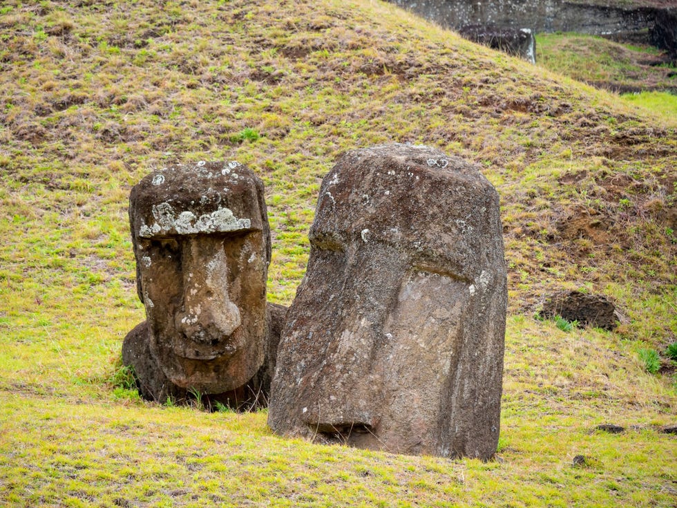 Hoewel soortgelijke monolieten op talloze andere Polynesische eilanden zijn aangetroffen zijn de reuzenbeelden van Rapa Nui uniek door hun omvang en plechtige gelaatsuitdrukking