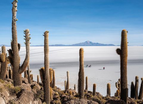 De Salar de Uyuni ligt verborgen in het Boliviaanse deel van het Andesgebergte en is de grootste zoutvlakte op aarde Het gebied is z oogverblindend wit dat het vanuit de ruimte is te zien soms ligt er een dun laagje water op de zoutkorst van de vlakte waardoor het oppervlak in n gigantische spiegel verandert Microorganismen die goed tegen zout kunnen gedijen hier in extreem zout pekelwater
