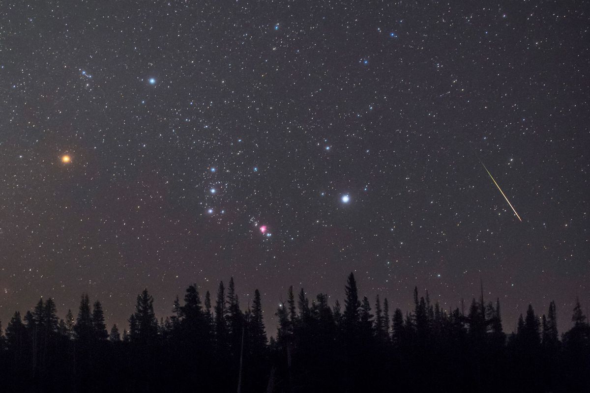 Een meteoor schiet door het sterrenbeeld Orion de Jager dat boven de horizon aan de nachthemel staat De heldere rossige ster Betelgeuze links maakt deel uit van het herkenbare sterrenpatroon
