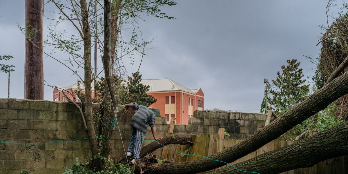 Op het erf van zijn huis in New Bern North Carolina klimt Larry Jones op een omgewaaide boom om de schade op te nemen die is ontstaan nadat orkaan Florence in de kustplaats heeft huisgehouden
