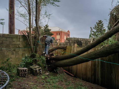 Op het erf van zijn huis in New Bern North Carolina klimt Larry Jones op een omgewaaide boom om de schade op te nemen die is ontstaan nadat orkaan Florence in de kustplaats heeft huisgehouden
