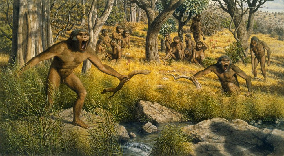 Toen het Afrikaanse klimaat rond drie miljoen jaar geleden droger werd maakten bossen plaats voor steppen en moesten onze voorouders zich aanpassen