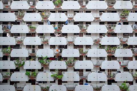 Een foto van een appartementengebouw in Singapore biedt een inkijkje in de levens van de bewoners In die stad vol hoogbouw kiezen veel mensen voor planten als decoratie Het Singapore Garden Festival kent zelfs een tentoonstelling over balkontuinen dat deelnemers moet inspireren om ook zelf aan de slag te gaan