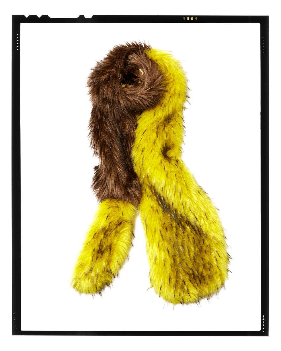 Fur, Font, Yellow, Stole, Fur clothing, Scarf, 