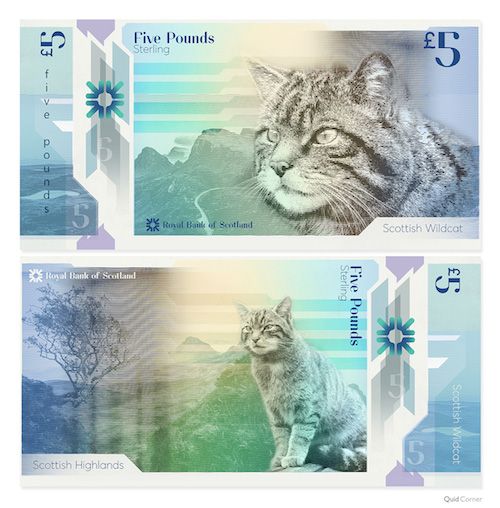 Scottish wildcat bank note photo