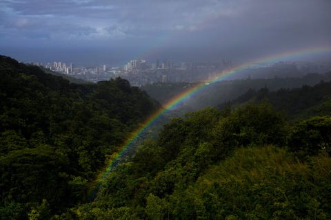 HONOLULU HAWANadat een buitje was opgeklaard werd het uitzicht op Honolulu vanaf de top van de Tantalus een dode sintelkegel opgesierd door een dubbele regenboog Dit roept een paar van mijn favoriete zomerherinneringen op van reizen naar Hawa met mijn gezin vertelt fotograaf Maddie McGarvey Hawa is zo schitterend en waar je ook kijkt het lijkt of de natuur zich uitslooft