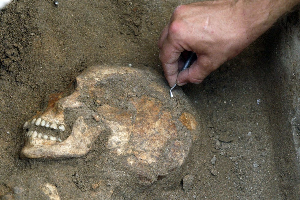 Een archeoloog legt de schedel van een inwoner van Sidon bloot die rond 1800 v Chr in deze ooit bruisende Kananitische havenstad aan de kust van Libanon heeft gewoond