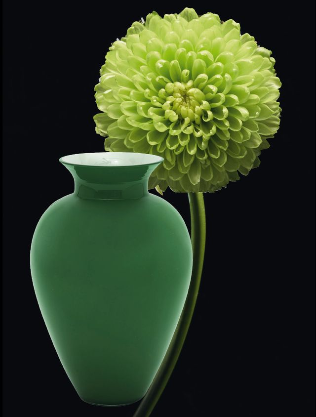 Green, Vase, Flowerpot, Still life photography, Flower, Plant, Zinnia, Artifact, Ceramic, 
