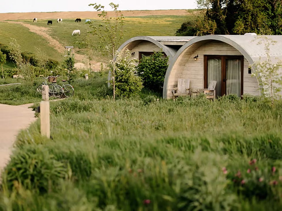sustainable lodging in a natural setting with bicycles and grazing cows