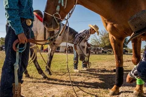Een groepje jongens verzorgt hun paarden zodat ze klaar zijn voor de festiviteiten van die dag