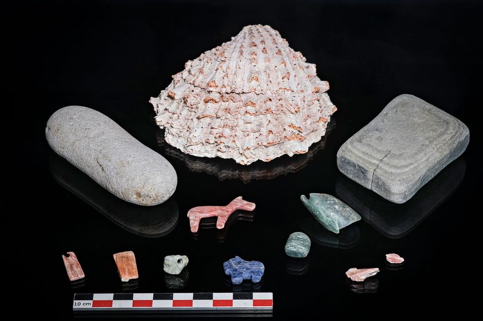 Een schelp van een stekeloester was een kostbaar voorwerp in het Tiwanakurijk en het is een voorbeeld van de waardevolle offergaven die in het meer werden achtergelaten