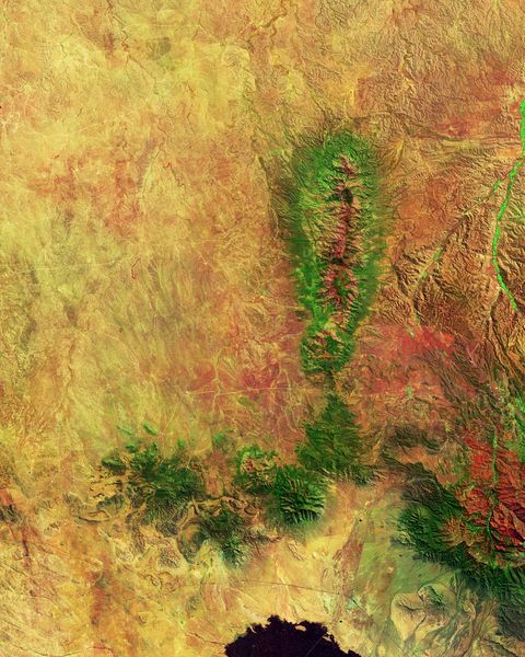 Op deze satellietfoto in valse kleuren die op 6 mei 2016 door Landsat 8 werd gemaakt steken bomen in het Lincoln National Forest in helder groen af tegen de omringende woestijn in New Mexico waardoor ze de letter J vormen