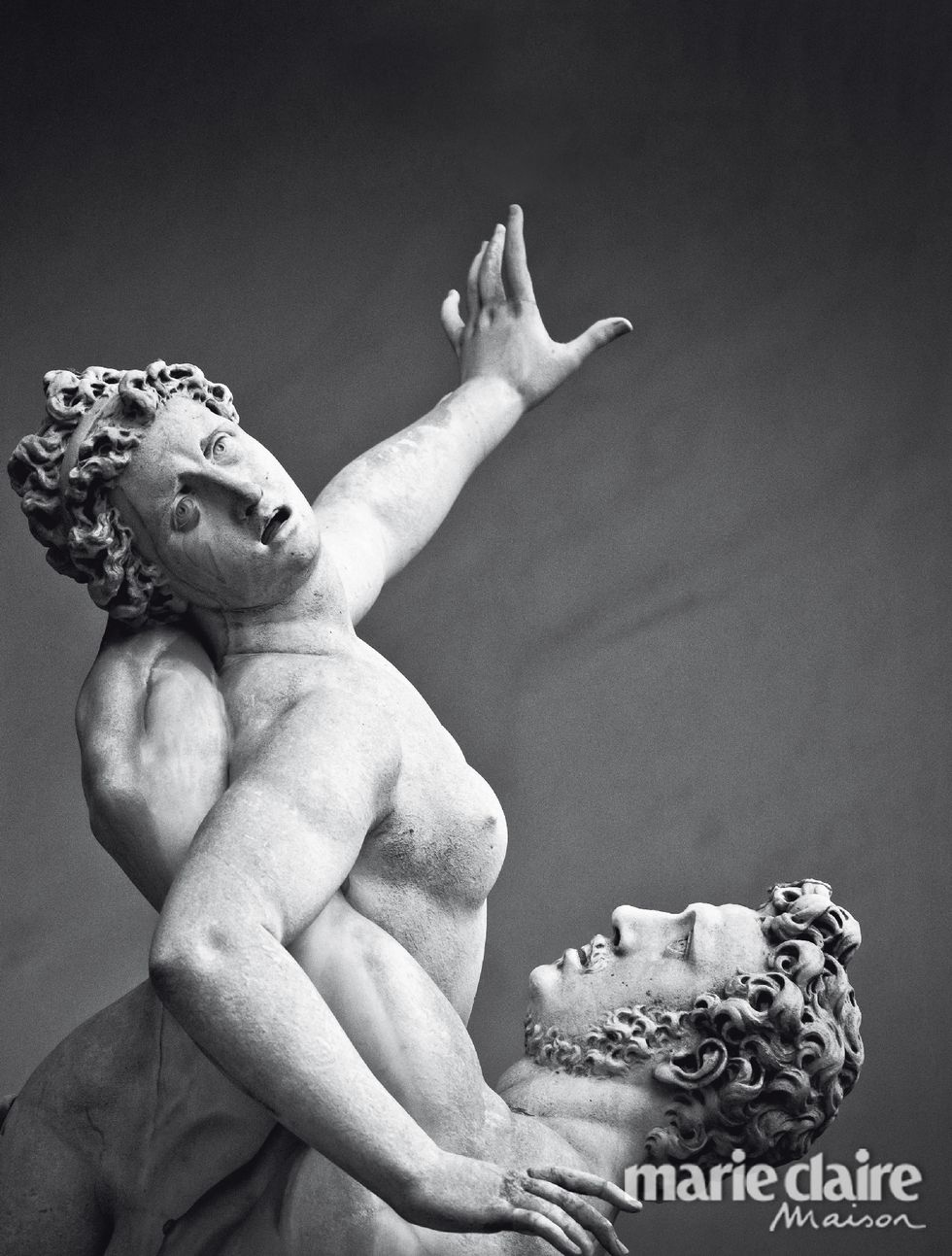 Statue, Sculpture, Classical sculpture, Photography, Hand, Stock photography, Art, Muscle, Still life photography, Plant, 