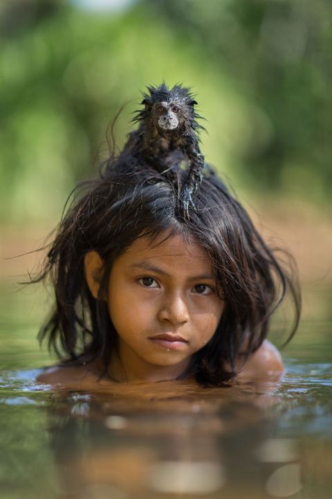 Yoina met haar zadelrugtamarin Manu National Park Peru