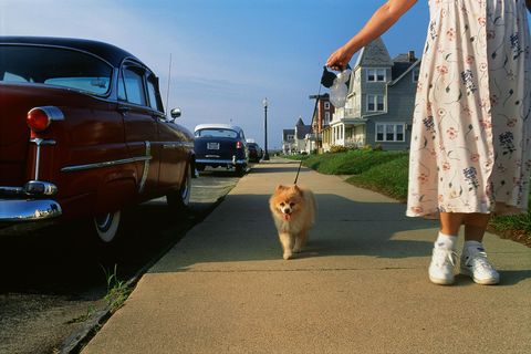 Een vrouw loopt met haar hond langs enkele klassieke autos in Ocean Grove New Jersey