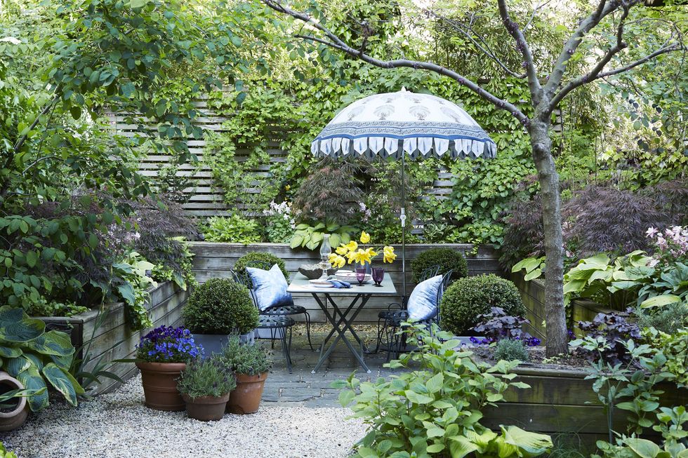 backyard, potted plants, outdoor dining chairs, outdoor dining table, sun umbrella