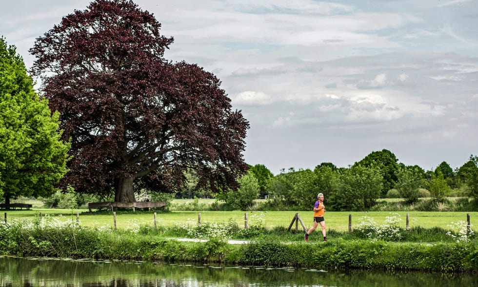 liefdevoorlopen, liefde voor lopen, hardlopen, runnersworld, Runner’s World, runnersweb