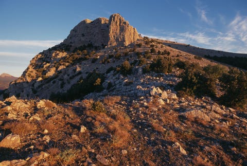 Mede dankzij de hoge en afgelegen bergen van het Parco nazionale del Pollino kon de Bosnische den met de bijnaam Italus ruim duizend jaar oud worden