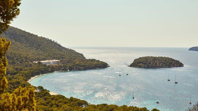 Coastal view showcasing a bay surrounded by forested hills and a distant island.