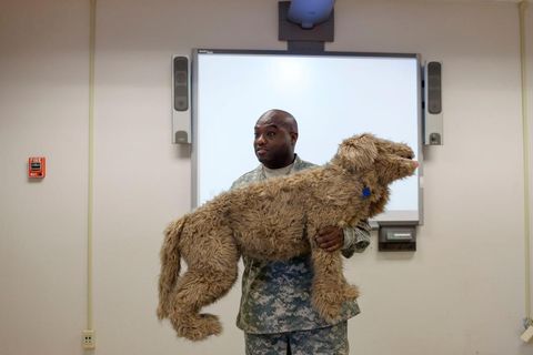 Sergeant eerste klasse en veterinair technicus Eric Alford geeft kadetten van de Texaanse opleiding les in het bieden van eerste hulp