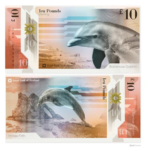 Dolphin bank note photo