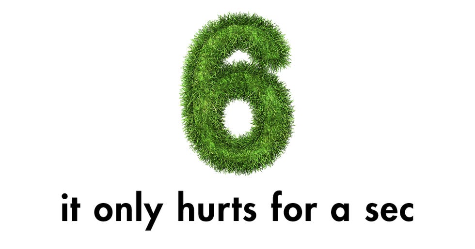 Green, Text, Font, Grass, Leaf, Organism, Plant, Number, Tree, Circle,