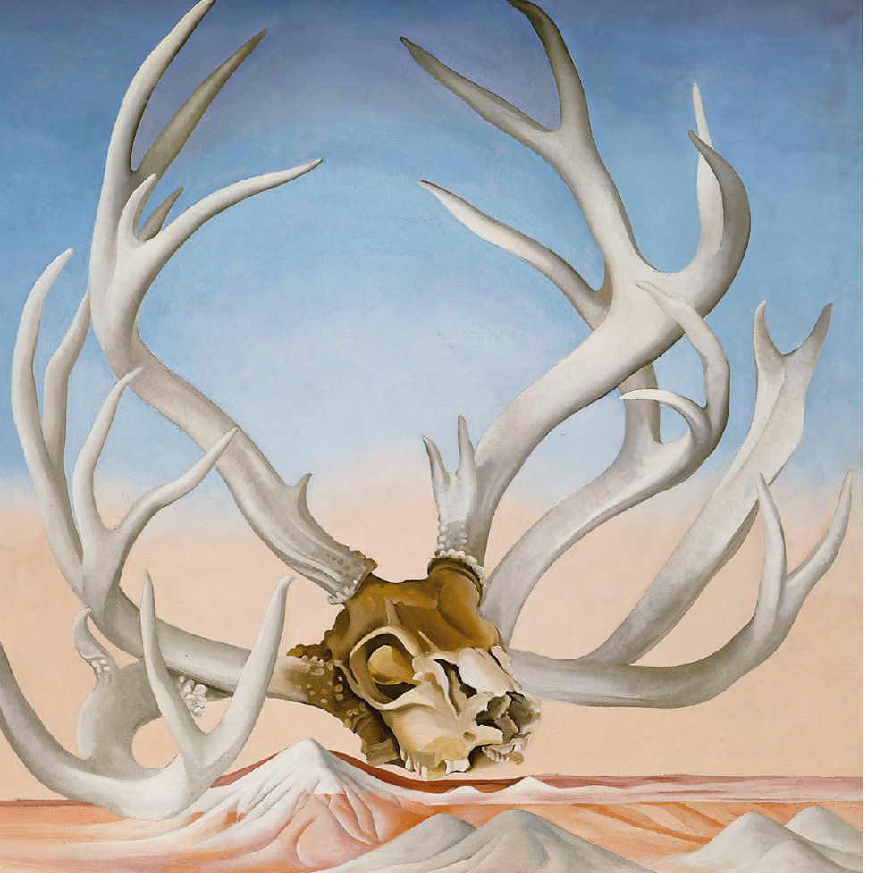 Horn, Antler, Reindeer, Elk, Deer, Natural material, Illustration, Animal product, 