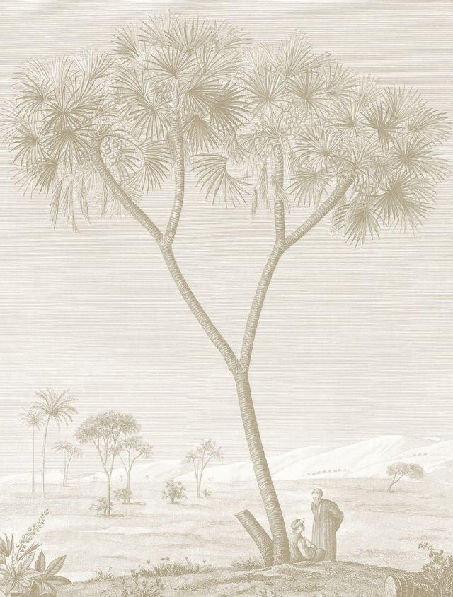 Tree, Plant, Woody plant, Botany, Drawing, Palm tree, Arecales, Grass family, Plant stem, Sketch, 