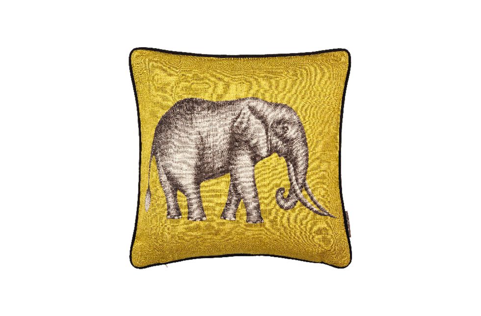 Elephant, Elephants and Mammoths, Indian elephant, African elephant, Yellow, Cushion, Wildlife, Pillow, Throw pillow, Font, 