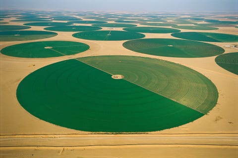 https://www.nationalgeographic.com/content/dam/science/2020/04/21/human-journey-steinmetz/06-human-journey-steinmetz.jpg In het Lege Kwartier een woestijn in het zuiden van SaoediArabi liggen groene gewascirkels elk met een doorsnede van ruim achthonderd meter in het kurkdroge landschap De waterbronnen die deze cirkelirrigatie mogelijk maken zijn soms wel tweehonderd meter diep en bevatten grondwater dat niet meer wordt aangevuld zogenaamd fossiel water dat duizenden jaren geleden als regen op aarde neerdaalde Over zon twintig jaar zullen de bronnen zijn opgedroogd en worden deze akkers weer verlaten en door het woestijnzand heroverd