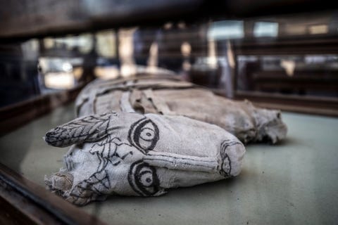 De ontdekking werd gedaan in Saqqara waar de overblijfselen van honderden gemummificeerde katten zijn gevonden