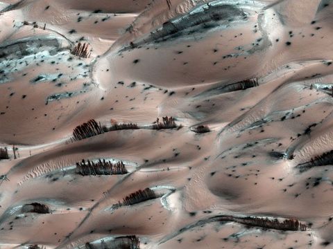 Deze clusters van donkerbruine strepen werden door de Mars Reconnaissance Orbiter MRO gefotografeerd op rozekleurige zandduinen die met rijp waren bedekt