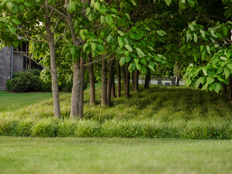 This Hamptons Landscape Uses Reflecting Pools to Mirror the Home's ...