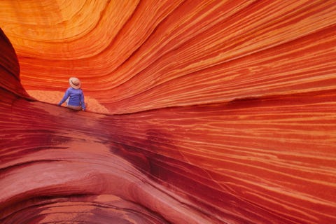 Vermilion Cliffs Dit park werd op 9 november 2000 door president Clinton ten noordoosten van de Grand Canyon in Arizona ingesteld Het destijds als geologische schat omschreven gebied beslaat 1186 vierkante kilometer en omvat spectaculaire wandelpaden en uitzichten op hoogten van tussen de bijna 1000 en ruim 2000 meter Het kerngebied van het park is het Paria Plateau een groots terras dat in het midden van veelkleurige en trapvormige lagen gesteente ligt Dit nationale monument is ook een toevluchtsoord voor de bedreigde Californische condors die in een fokprogramma in gevangenschap worden uitgebroed en daarna rond de Vermilion Cliffs worden uitgezet