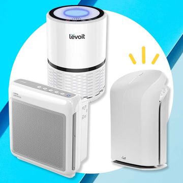 best air purifiers for allergies and smoke in 2023