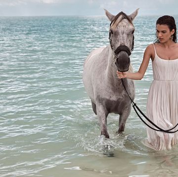 Water, Horse, Summer, Dress, Working animal, Fluid, Interaction, Ocean, Liquid, People in nature, 