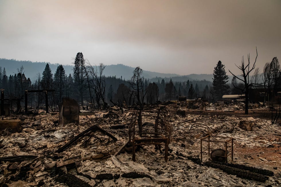 Destroyed Building In A Burnt Landscape